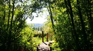 AB Schengen Vizesi ile Avrupa’yı Keşfedin