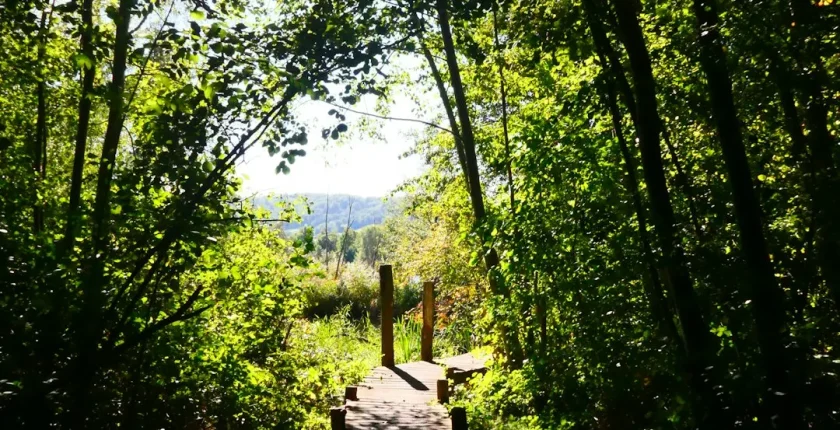 AB Schengen Vizesi ile Avrupa’yı Keşfedin