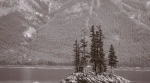 AB Vizesi ile Seyahat Özgürlüğünüzü Artırın