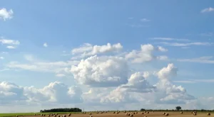 Birleşik Krallık Ülkesi Hakkında Bilgiler ve Seyahat İpuçları