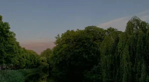 Hollanda Hakkında Bilgi: Kültürel Zenginlik ve Tarih