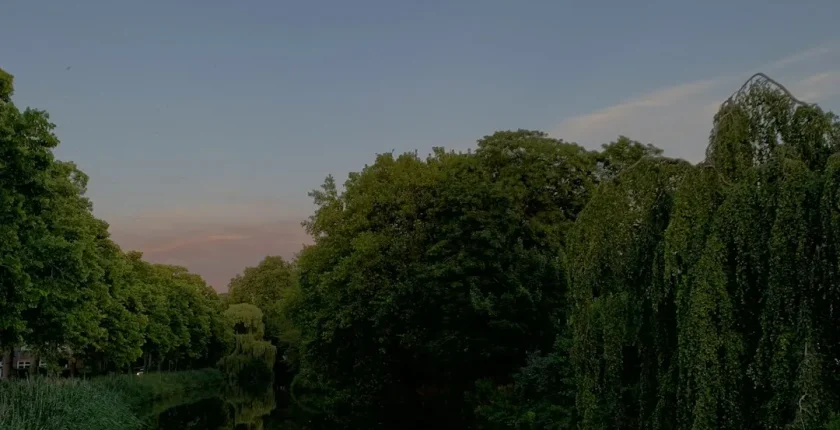 Hollanda Hakkında Bilgi: Kültürel Zenginlik ve Tarih