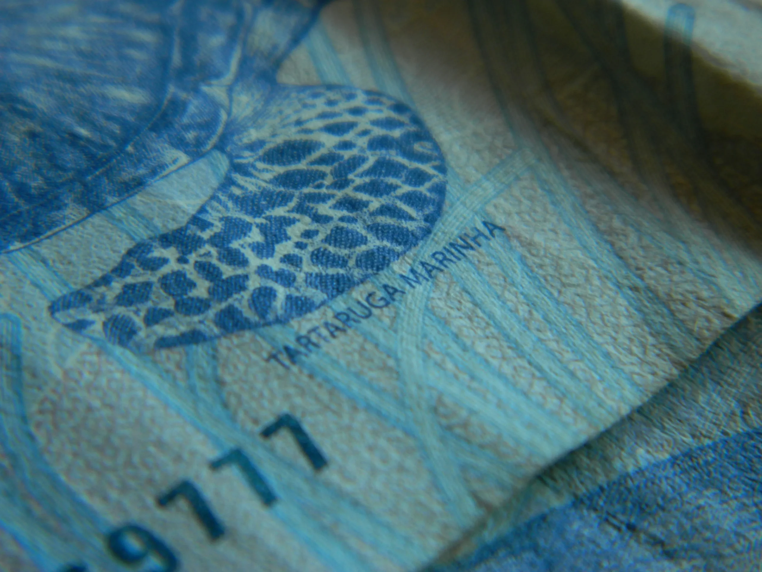 schengen vizesi başvuru